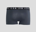 Dsquared2 - BOXER CORTO GRIS, LETRAS ICON