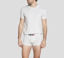 Dsquared2 - BOXER CORTO GRIS CON INICIALES DE MARCA