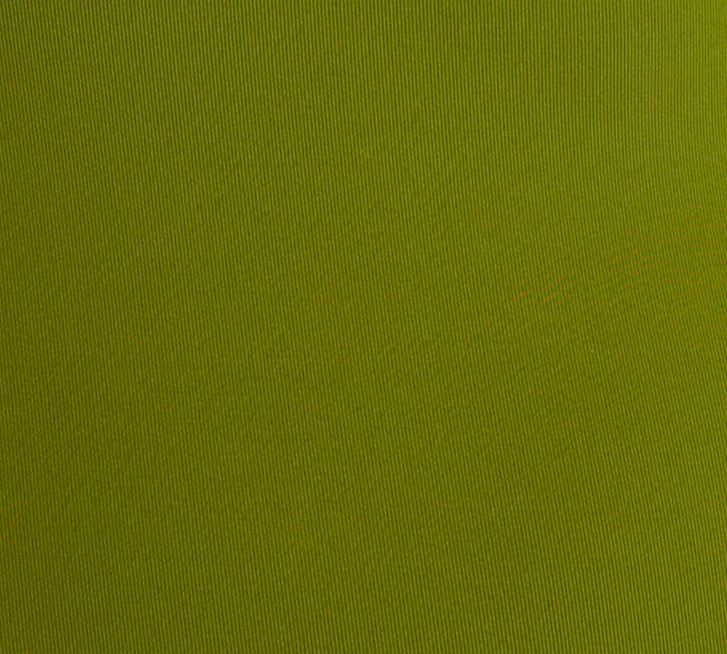 Eres - BODY VERDE OLIVA CON DETALLES EN DORADO