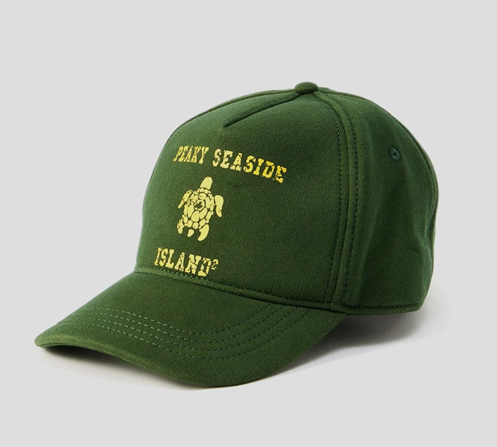 Dsquared2 - GORRA VERDE CON ESTAMPADO PEAKY SEASIDE ISLAND